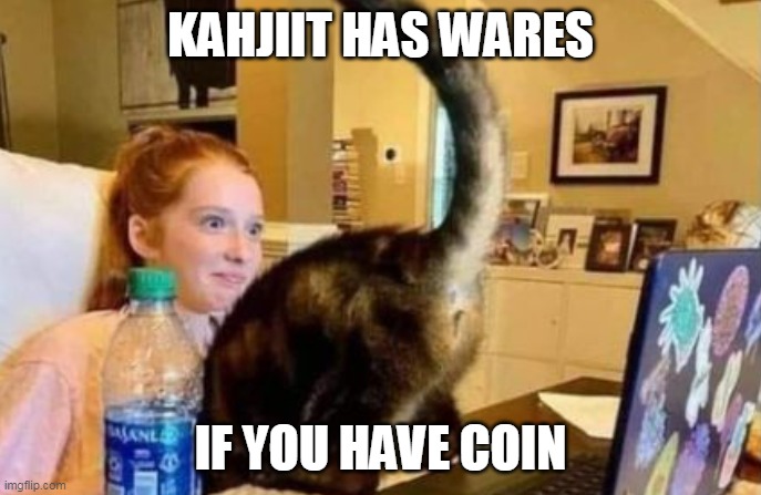 Khajiit has Wares | KAHJIIT HAS WARES; IF YOU HAVE COIN | image tagged in skyrim meme | made w/ Imgflip meme maker