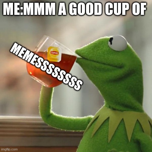 But That's None Of My Business Meme | ME:MMM A GOOD CUP OF MEMESSSSSSSS | image tagged in memes,but that's none of my business,kermit the frog | made w/ Imgflip meme maker