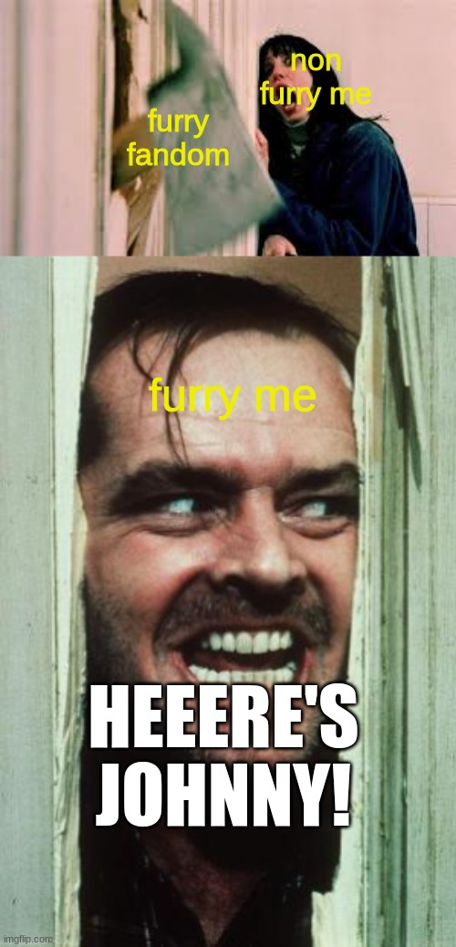 Furry in a nutshell | non furry me; furry fandom; furry me; HEEERE'S JOHNNY! | image tagged in memes,here's johnny | made w/ Imgflip meme maker