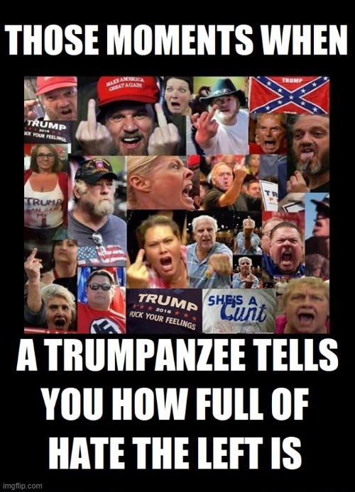 unhinged trumptarts | image tagged in dnc,liberals,joe biden,kamala harris | made w/ Imgflip meme maker