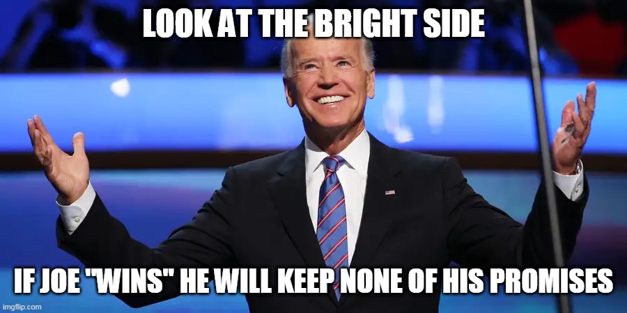 It could be worse | LOOK AT THE BRIGHT SIDE; IF JOE "WINS" HE WILL KEEP NONE OF HIS PROMISES | image tagged in biden | made w/ Imgflip meme maker