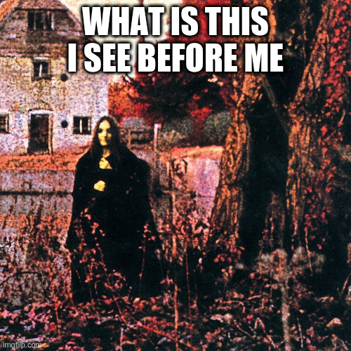 sabbath | WHAT IS THIS I SEE BEFORE ME | image tagged in sabbath | made w/ Imgflip meme maker