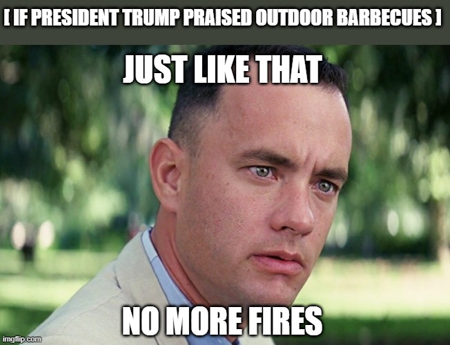 And Just Like That Meme | [ IF PRESIDENT TRUMP PRAISED OUTDOOR BARBECUES ] JUST LIKE THAT NO MORE FIRES | image tagged in memes,and just like that | made w/ Imgflip meme maker