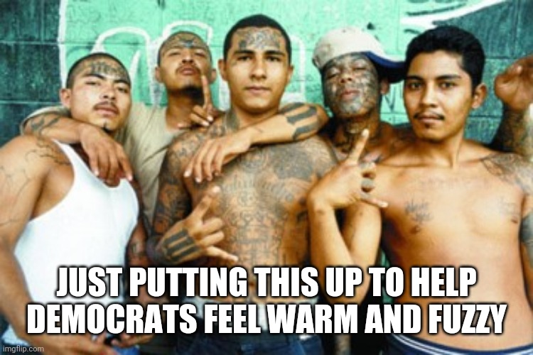 mexican gang members | JUST PUTTING THIS UP TO HELP DEMOCRATS FEEL WARM AND FUZZY | image tagged in mexican gang members | made w/ Imgflip meme maker
