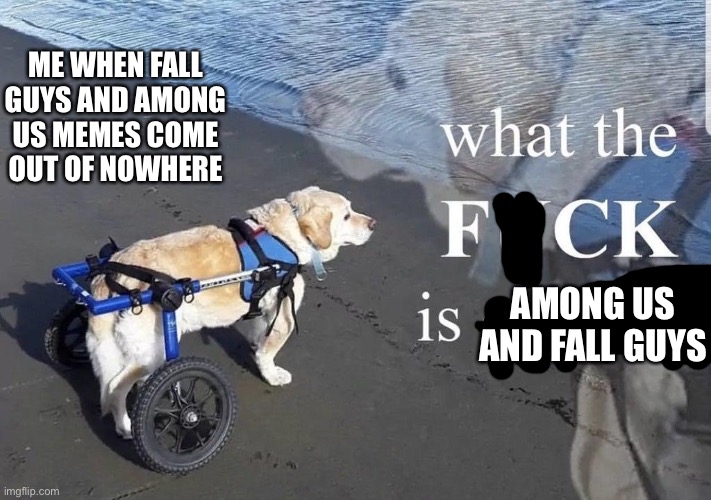What the f**k is oatmeal | ME WHEN FALL GUYS AND AMONG US MEMES COME OUT OF NOWHERE; AMONG US AND FALL GUYS | image tagged in what the f k is oatmeal,memes,fall guys,among us,funny memes,funny | made w/ Imgflip meme maker