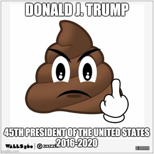 Shit | DONALD J. TRUMP; 45TH PRESIDENT OF THE UNITED STATES
2016-2020 | image tagged in donald trump | made w/ Imgflip meme maker