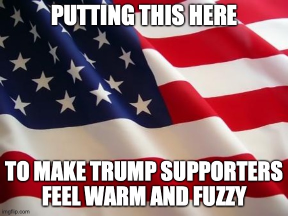 American flag | PUTTING THIS HERE TO MAKE TRUMP SUPPORTERS FEEL WARM AND FUZZY | image tagged in american flag | made w/ Imgflip meme maker