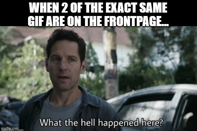 How and Why? | WHEN 2 OF THE EXACT SAME GIF ARE ON THE FRONTPAGE... | image tagged in wth | made w/ Imgflip meme maker