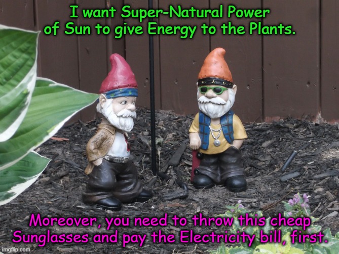 Garden Gnomes, talking about Reality. | I want Super-Natural Power of Sun to give Energy to the Plants. Moreover, you need to throw this cheap Sunglasses and pay the Electricity bill, first. | image tagged in garden gnomes | made w/ Imgflip meme maker