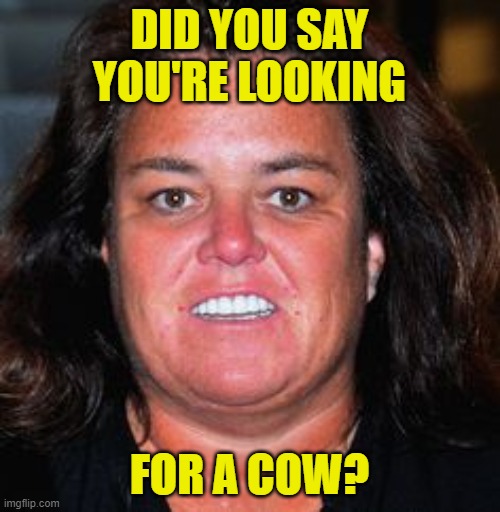 Rosie Pig | DID YOU SAY YOU'RE LOOKING FOR A COW? | image tagged in rosie pig | made w/ Imgflip meme maker