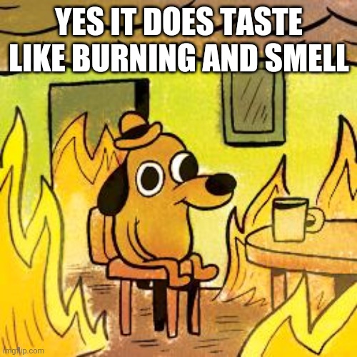 Dog in burning house | YES IT DOES TASTE LIKE BURNING AND SMELL | image tagged in dog in burning house | made w/ Imgflip meme maker