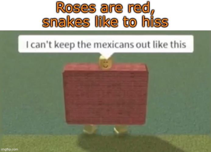 Nice try, buddy | Roses are red, snakes like to hiss | image tagged in roblox,memes,dank memes,immigrants,trump,build a wall | made w/ Imgflip meme maker