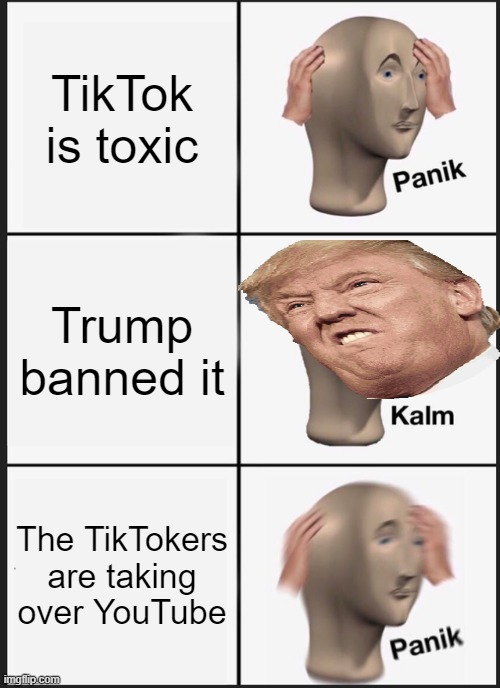 you thought this was over | TikTok is toxic; Trump banned it; The TikTokers are taking over YouTube | image tagged in memes,panik kalm panik,trump,tiktok | made w/ Imgflip meme maker