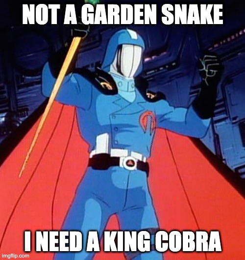 I need a king cobra | NOT A GARDEN SNAKE; I NEED A KING COBRA | image tagged in cardi b,gijoe,wap | made w/ Imgflip meme maker