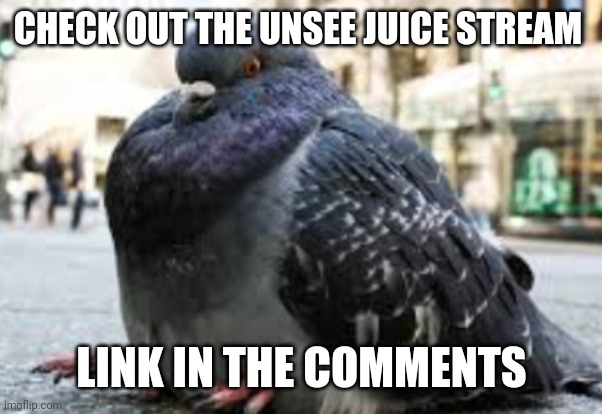 Announcement | CHECK OUT THE UNSEE JUICE STREAM; LINK IN THE COMMENTS | image tagged in memes,unsee juice | made w/ Imgflip meme maker
