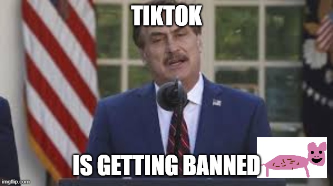 tiktok getting banned | TIKTOK; IS GETTING BANNED | image tagged in tiktok | made w/ Imgflip meme maker