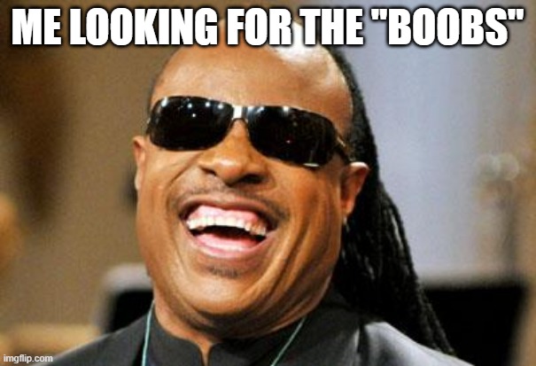 Stevie Wonder | ME LOOKING FOR THE "BOOBS" | image tagged in stevie wonder | made w/ Imgflip meme maker