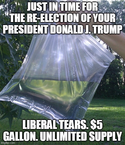 Just in time | JUST IN TIME FOR THE RE-ELECTION OF YOUR PRESIDENT DONALD J. TRUMP; LIBERAL TEARS. $5 GALLON. UNLIMITED SUPPLY | image tagged in donald trump approves | made w/ Imgflip meme maker