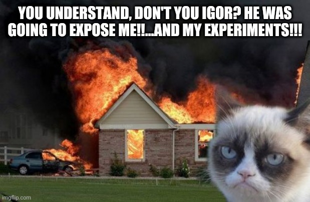 Burn Kitty | YOU UNDERSTAND, DON'T YOU IGOR? HE WAS GOING TO EXPOSE ME!!...AND MY EXPERIMENTS!!! | image tagged in memes,burn kitty,grumpy cat | made w/ Imgflip meme maker