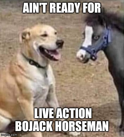 Mr Peanut Butter and Bojack behind the scenes | AIN'T READY FOR; LIVE ACTION BOJACK HORSEMAN | image tagged in bojack,live action,animation,cartoon,netflix,therapy horse | made w/ Imgflip meme maker