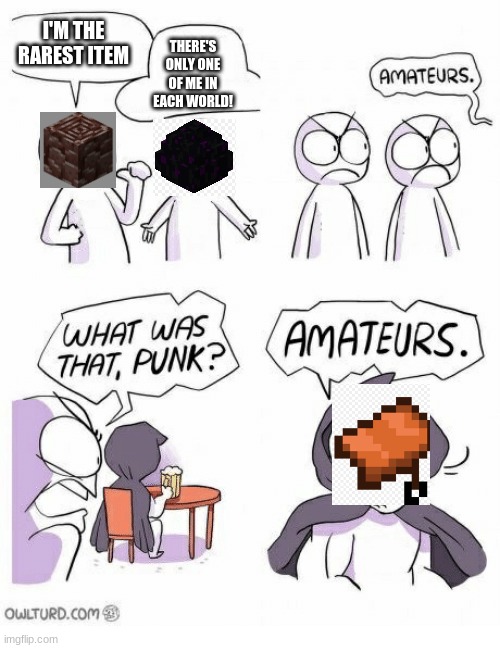 This isn't true, but it sure feels like it. | I'M THE RAREST ITEM; THERE'S ONLY ONE OF ME IN EACH WORLD! | image tagged in ametures,minecraft | made w/ Imgflip meme maker