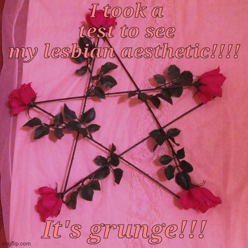 I knew it!!! | I took a test to see my lesbian aesthetic!!!! It's grunge!!! | made w/ Imgflip meme maker