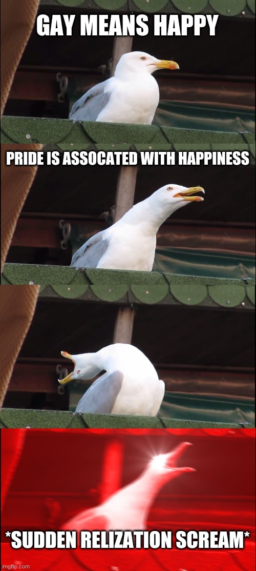 k | GAY MEANS HAPPY; PRIDE IS ASSOCATED WITH HAPPINESS; *SUDDEN RELIZATION SCREAM* | image tagged in memes,inhaling seagull | made w/ Imgflip meme maker