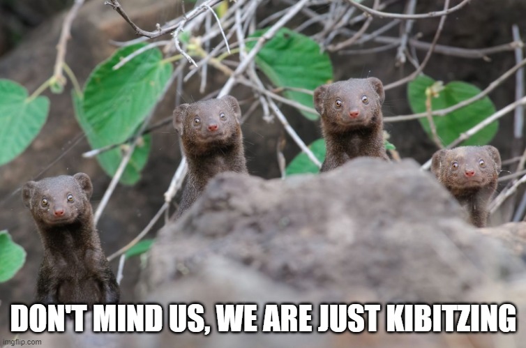 DON'T MIND US, WE ARE JUST KIBITZING | made w/ Imgflip meme maker