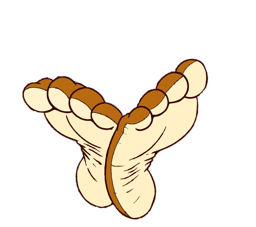 High Quality Coco the Monkey Cereal Mascot Feet Template 2 Blank Meme Template