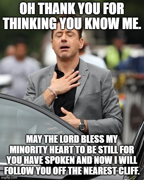 Relief | OH THANK YOU FOR THINKING YOU KNOW ME. MAY THE LORD BLESS MY MINORITY HEART TO BE STILL FOR YOU HAVE SPOKEN AND NOW I WILL FOLLOW YOU OFF TH | image tagged in relief | made w/ Imgflip meme maker