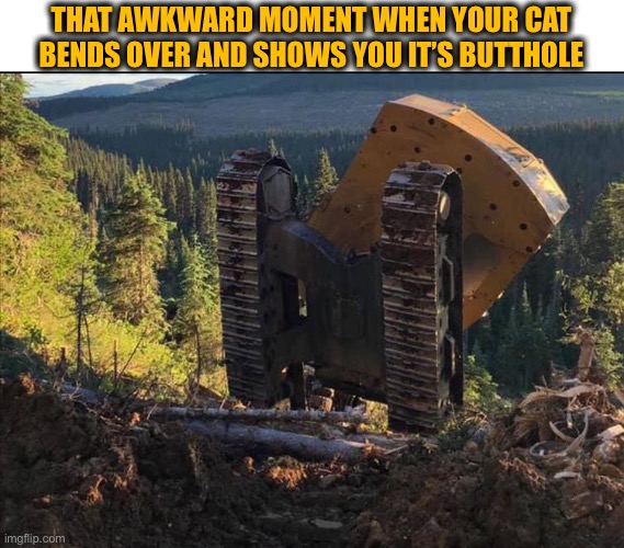 Here kitty kitty | THAT AWKWARD MOMENT WHEN YOUR CAT BENDS OVER AND SHOWS YOU IT’S BUTTHOLE | image tagged in backhoe,cat,bend over,butthole,caterpillar,memes | made w/ Imgflip meme maker