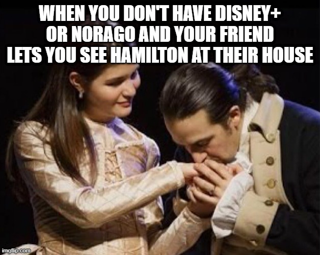 a bit over the top... | WHEN YOU DON'T HAVE DISNEY+ OR NORAGO AND YOUR FRIEND LETS YOU SEE HAMILTON AT THEIR HOUSE | image tagged in memes,funny,hamilton,musicals,alexander hamilton | made w/ Imgflip meme maker