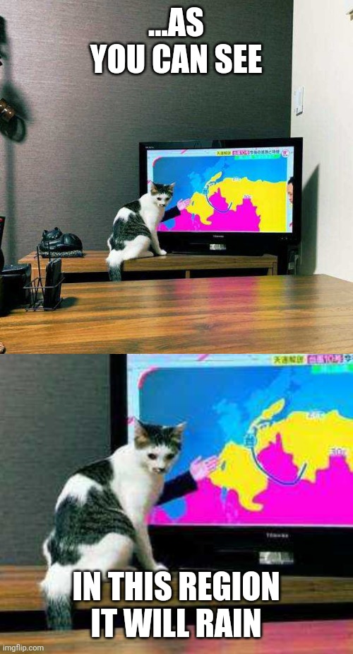 WEATHER CAT | ...AS YOU CAN SEE; IN THIS REGION IT WILL RAIN | image tagged in cats,funny cats,weatherman | made w/ Imgflip meme maker