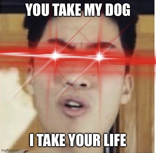 RiceGum triggered | YOU TAKE MY DOG; I TAKE YOUR LIFE | image tagged in ricecum | made w/ Imgflip meme maker