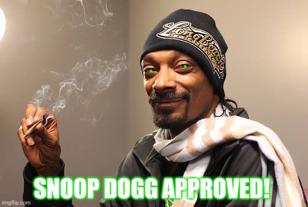 Snoop Dogg | SNOOP DOGG APPROVED! | image tagged in snoop dogg | made w/ Imgflip meme maker