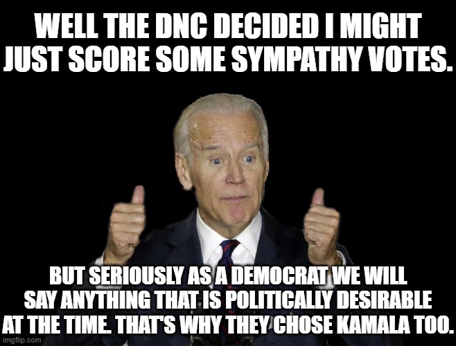 WELL THE DNC DECIDED I MIGHT JUST SCORE SOME SYMPATHY VOTES. BUT SERIOUSLY AS A DEMOCRAT WE WILL SAY ANYTHING THAT IS POLITICALLY DESIRABLE  | image tagged in black background | made w/ Imgflip meme maker