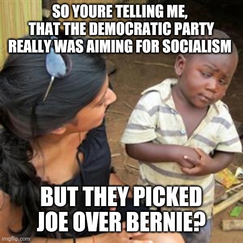 Politics and stuff | SO YOURE TELLING ME,  THAT THE DEMOCRATIC PARTY REALLY WAS AIMING FOR SOCIALISM; BUT THEY PICKED JOE OVER BERNIE? | image tagged in so youre telling me | made w/ Imgflip meme maker