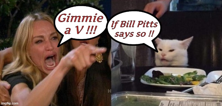 "Heavy Metal Fans for Heavy Metal Group's" on Fb. | Gimmie
a V !!! If Bill Pitts
says so !! | image tagged in heavy metal,smudge,woman yelling at smudge the cat | made w/ Imgflip meme maker