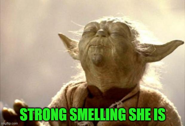 yoda smell | STRONG SMELLING SHE IS | image tagged in yoda smell | made w/ Imgflip meme maker