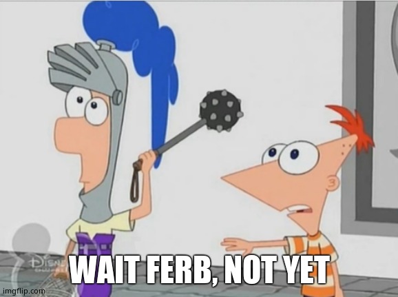Not Yet Ferb | WAIT FERB, NOT YET | image tagged in not yet ferb | made w/ Imgflip meme maker