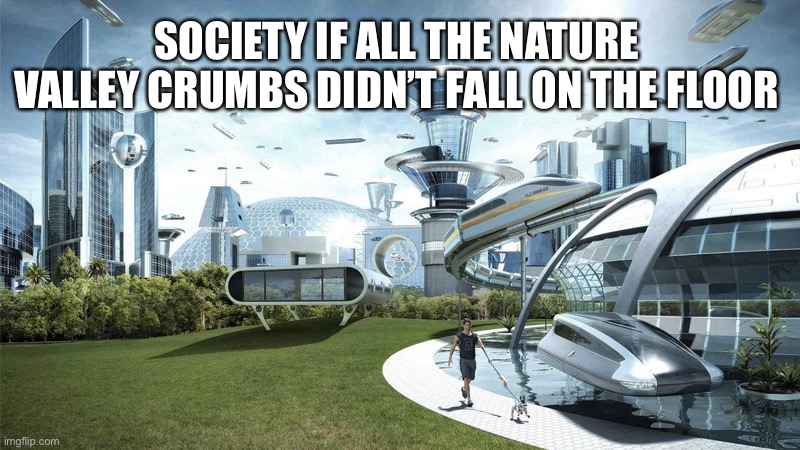 Modern City | SOCIETY IF ALL THE NATURE VALLEY CRUMBS DIDN’T FALL ON THE FLOOR | image tagged in modern city | made w/ Imgflip meme maker