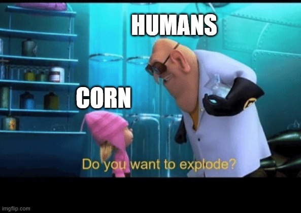 Do you want to explode | HUMANS; CORN | image tagged in do you want to explode | made w/ Imgflip meme maker