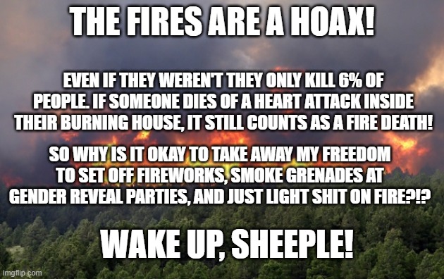 Forest fire | THE FIRES ARE A HOAX! EVEN IF THEY WEREN'T THEY ONLY KILL 6% OF PEOPLE. IF SOMEONE DIES OF A HEART ATTACK INSIDE THEIR BURNING HOUSE, IT STILL COUNTS AS A FIRE DEATH! SO WHY IS IT OKAY TO TAKE AWAY MY FREEDOM TO SET OFF FIREWORKS, SMOKE GRENADES AT GENDER REVEAL PARTIES, AND JUST LIGHT SHIT ON FIRE?!? WAKE UP, SHEEPLE! | image tagged in forest fire | made w/ Imgflip meme maker