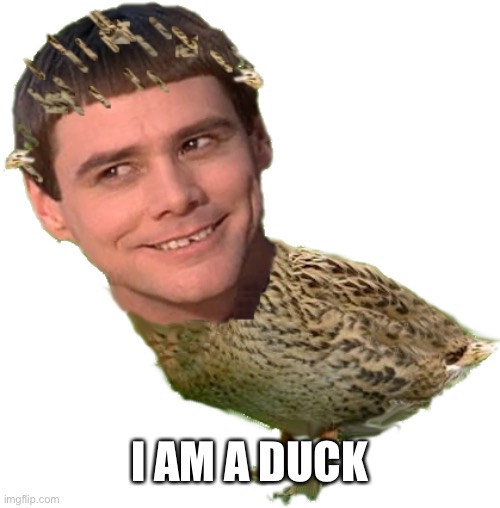 imjay uckaday traybo | I AM A DUCK | image tagged in imjay uckaday traybo | made w/ Imgflip meme maker