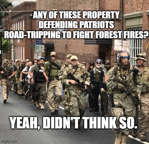 trump's militia | ANY OF THESE PROPERTY DEFENDING PATRIOTS ROAD-TRIPPING TO FIGHT FOREST FIRES? YEAH, DIDN'T THINK SO. | image tagged in trump's militia | made w/ Imgflip meme maker