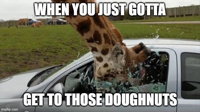 I do love a good doughnut | WHEN YOU JUST GOTTA; GET TO THOSE DOUGHNUTS | image tagged in memes,giraffe,doughnut | made w/ Imgflip meme maker