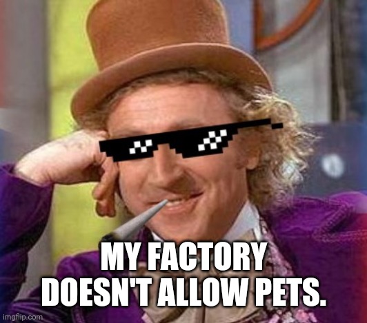 Swag Wonka | MY FACTORY DOESN'T ALLOW PETS. | image tagged in swag wonka | made w/ Imgflip meme maker