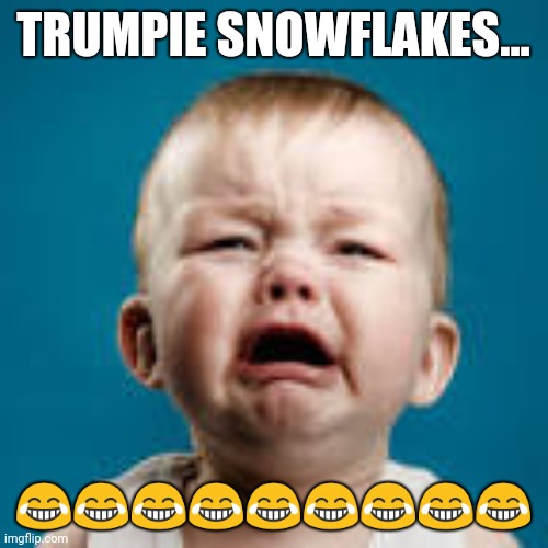 Crying Trumpies | TRUMPIE SNOWFLAKES... 😂😂😂😂😂😂😂😂😂 | image tagged in trump | made w/ Imgflip meme maker