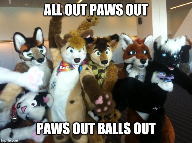 Furries | ALL OUT PAWS OUT PAWS OUT BALLS OUT | image tagged in furries | made w/ Imgflip meme maker