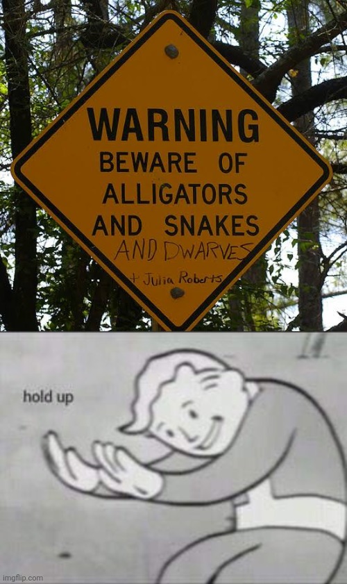 What's this? | image tagged in fallout hold up,funny street signs | made w/ Imgflip meme maker